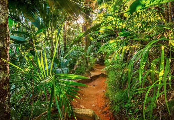 Paper Jungle Trail