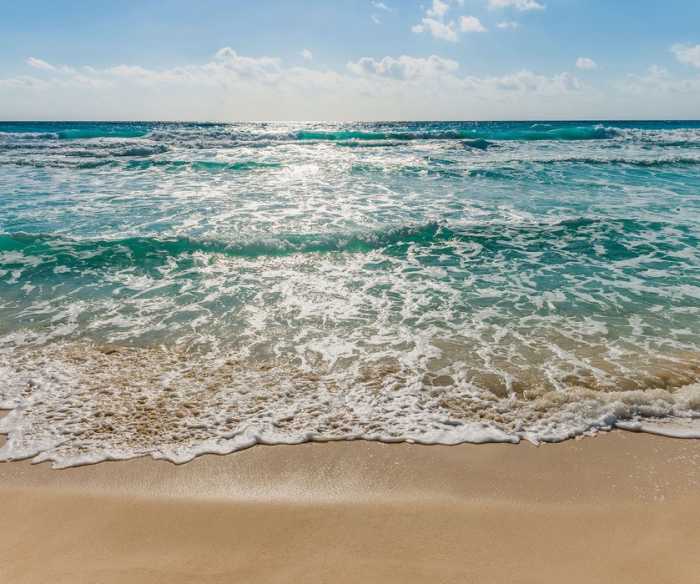 Premium Non-Woven Seaside