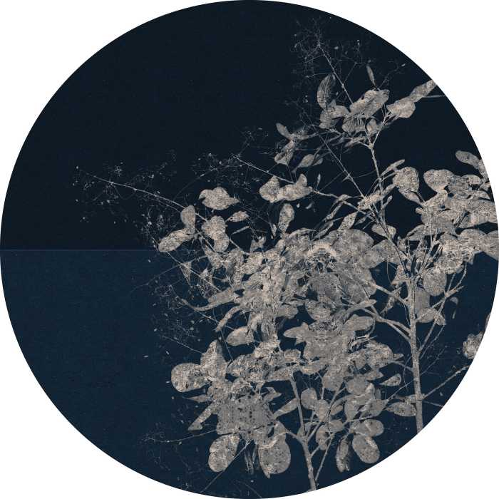 Non-woven adhesive round mural Branch