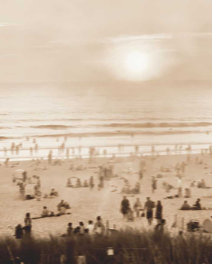 Premium Non-Woven L'heure dorée