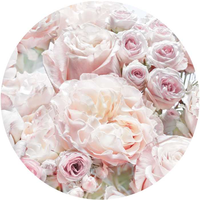 Non-woven adhesive round mural Pink and Cream Roses