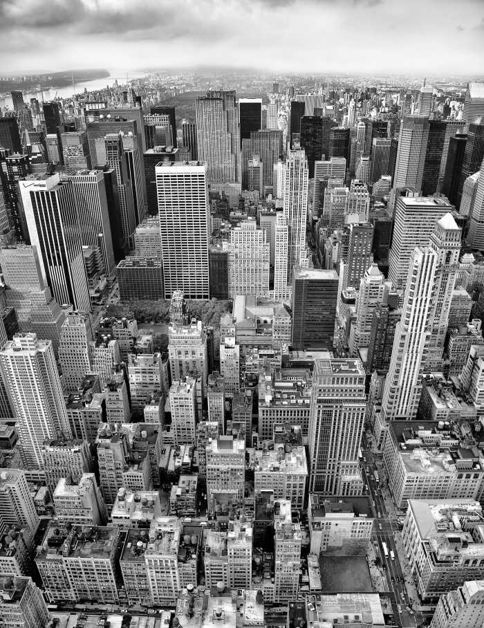 Standard Non-woven Uptown