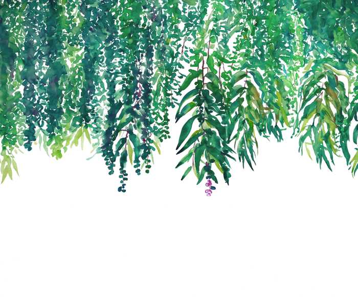 Standard Non-woven Malta