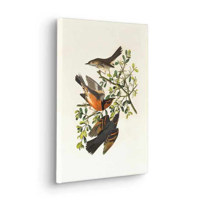 Vlies Bild auf Keilrahmen/ Echtholzrahmen Heidi