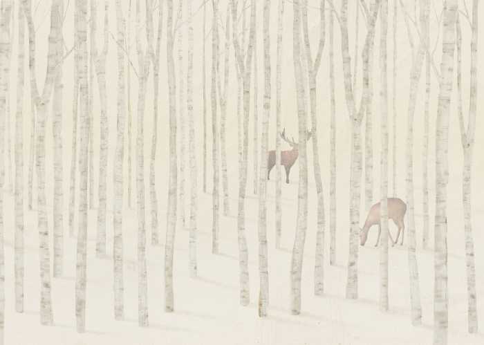 Standard Non-woven Québec