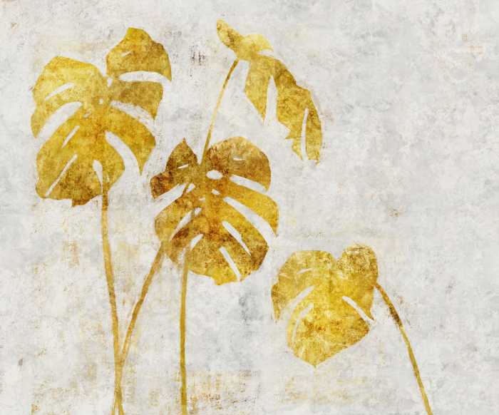 Standard Non-woven Golden Monstera