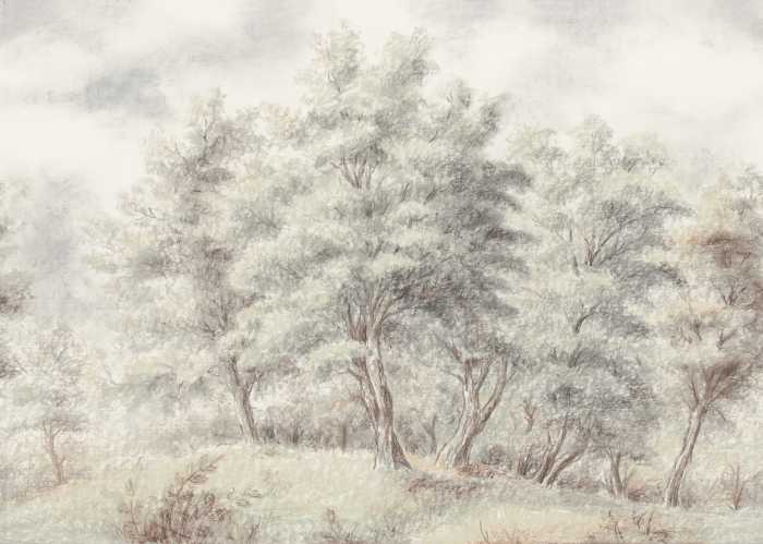 Standard Non-woven Grove