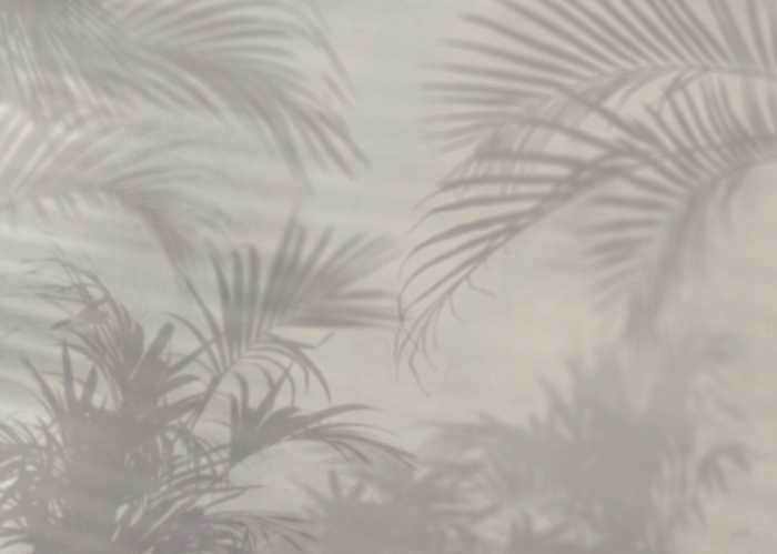 Standard Non-woven Lumière