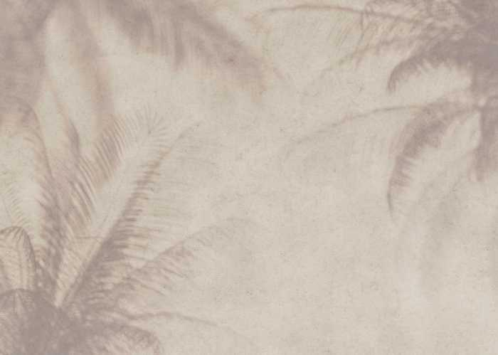 Standard Non-woven Brise