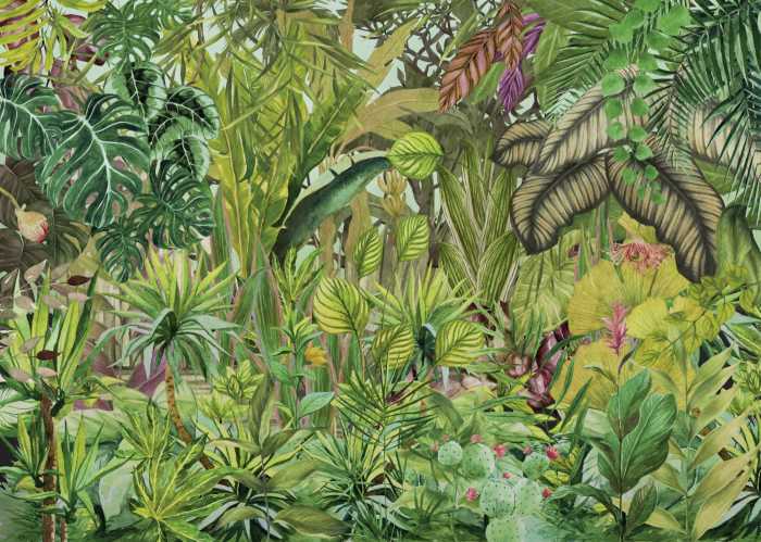 Standard Non-woven Colorante