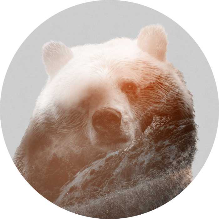 Non-woven adhesive round mural Bearava