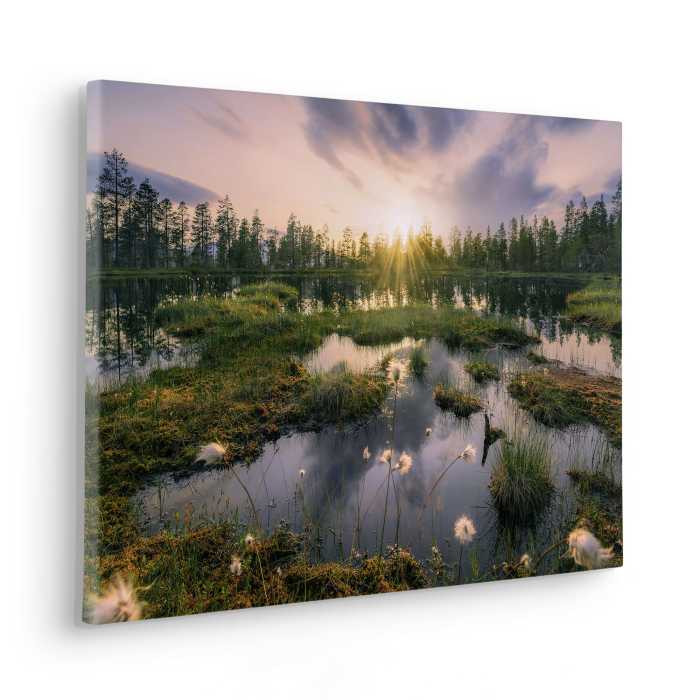 Vlies Bild auf Keilrahmen/ Echtholzrahmen Gloomy Swamps