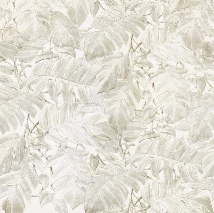 Standard Non-woven Hojas