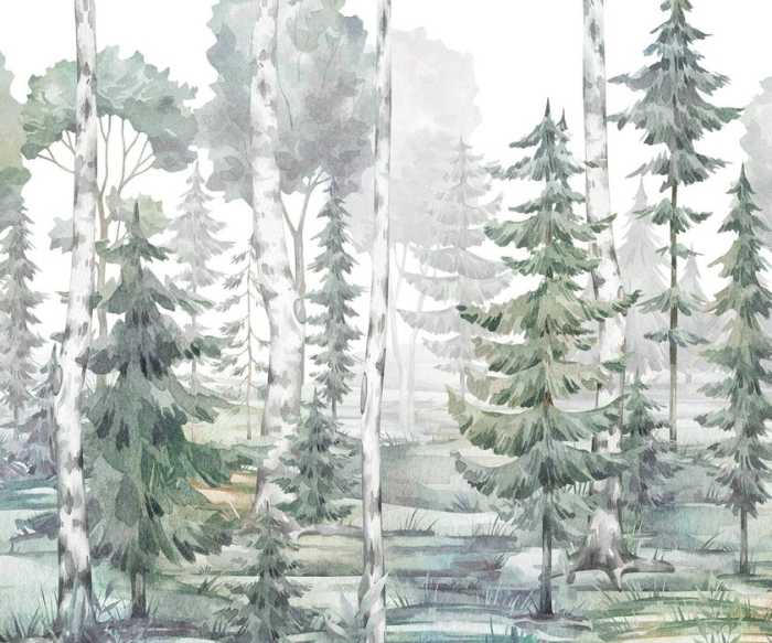 Standard Non-woven White Birches