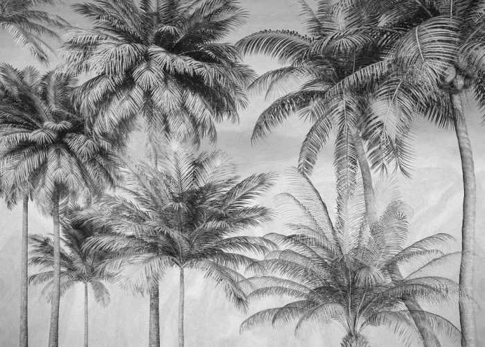 Standard Non-woven Coco de Paradis