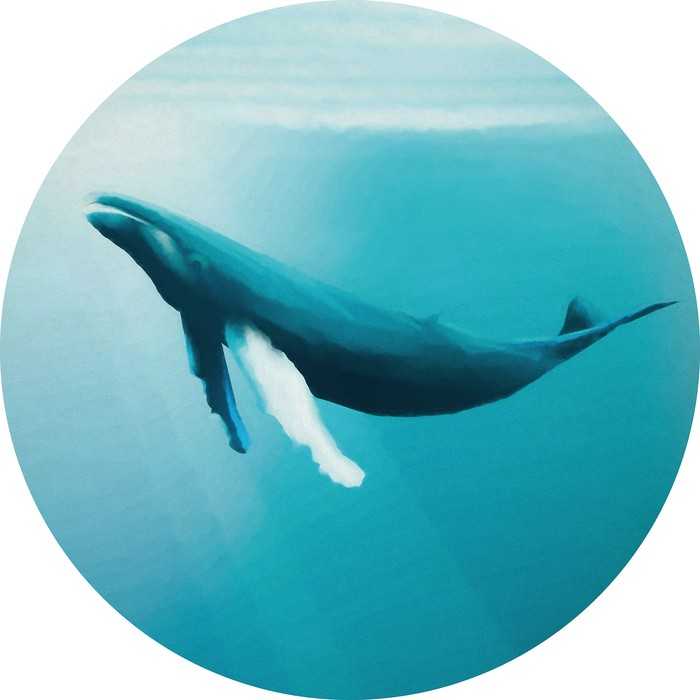 Non-woven adhesive round mural Whale Watching