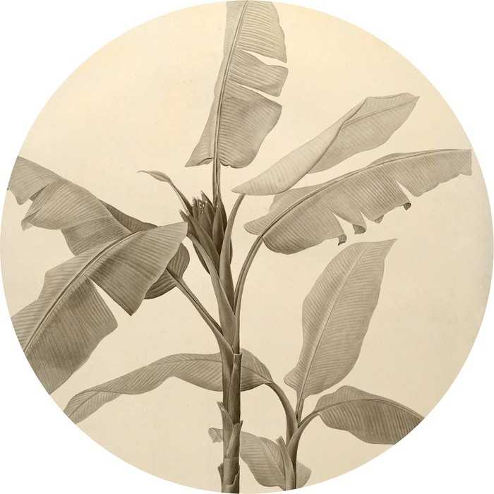 Non-woven adhesive round mural Banana Plant