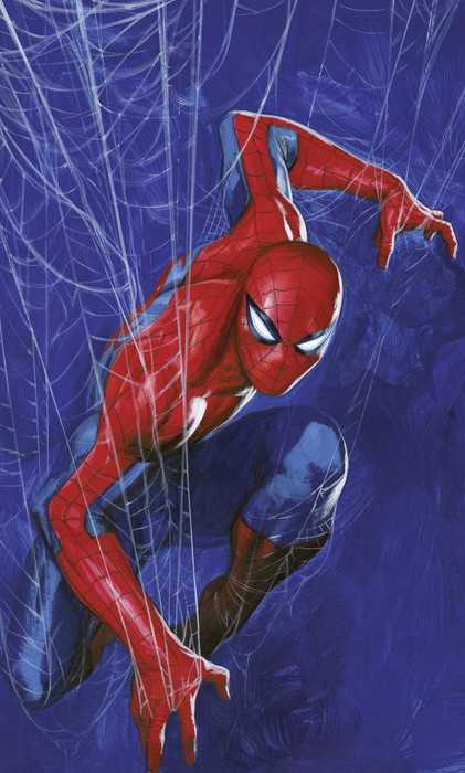 Standard Non-woven Marvel Spider-Man Spider Web
