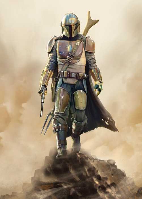 Standard Non-woven Star Wars The Mandalorian The Hunter