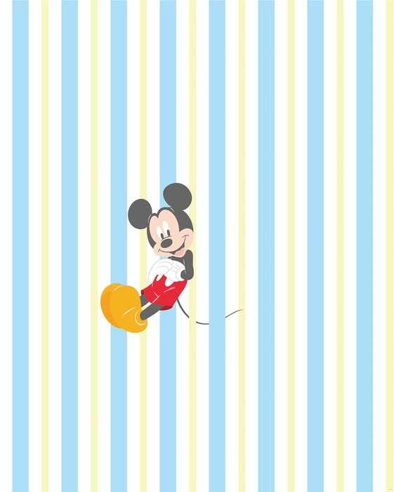 Standard Non-woven Mickey Relax