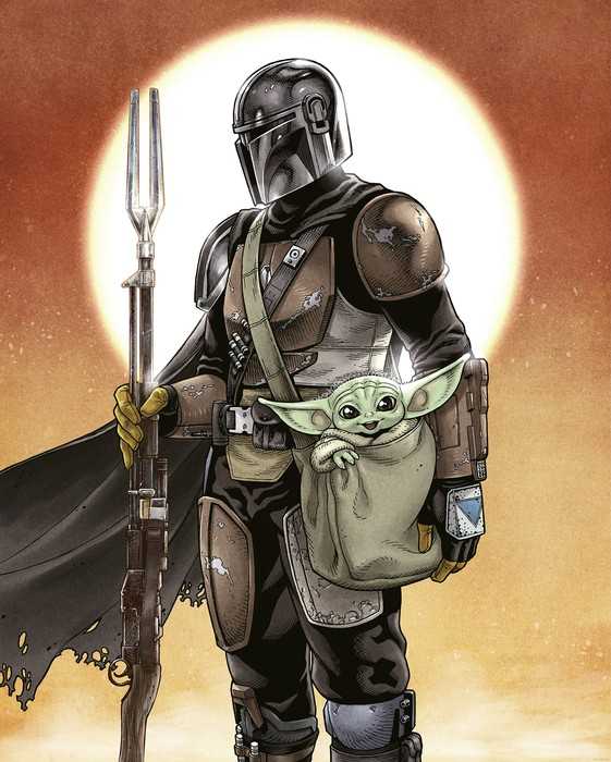 Standard Non-woven Star Wars The Mandalorian and Grogu
