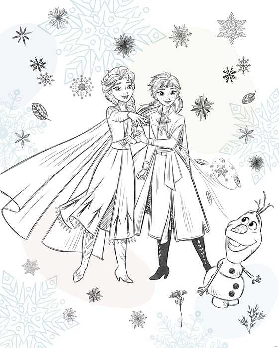 Standard Non-woven Disney Frozen Sketch Sisters