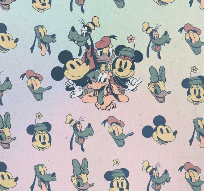 Standard Non-woven Mickey Fab5