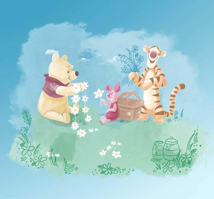 Standard Non-woven Winnie the Pooh Picnic