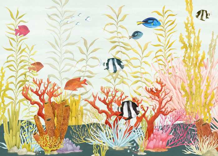 Standard Non-woven Coral World