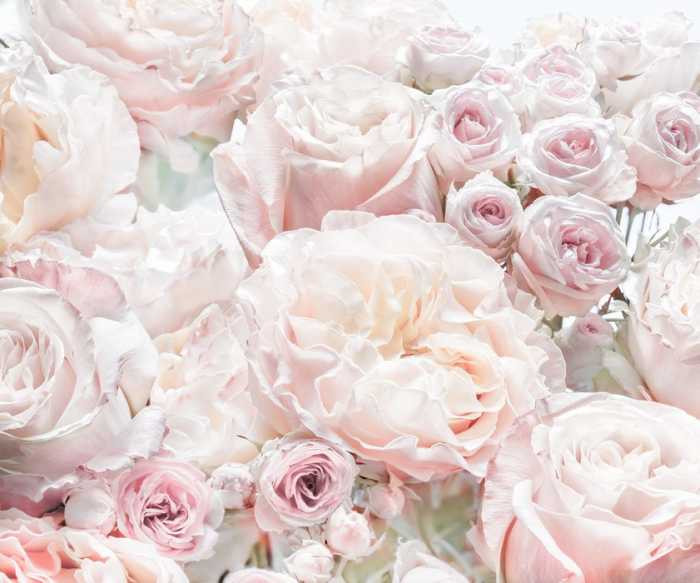 Standard Non-woven Floral Pur