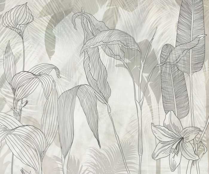 Standard Non-woven Lilia