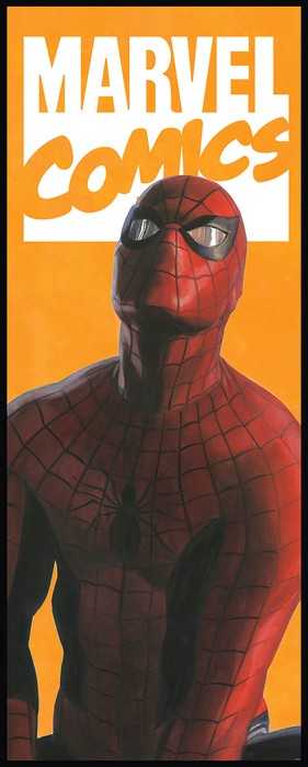 Standard Non-woven Spider-Man Comic