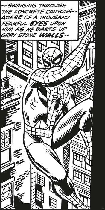 Standard Non-woven Spider-Man Classic Climb
