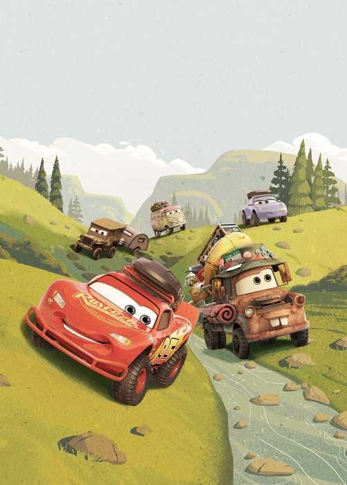 Standard Non-woven Cars Camping