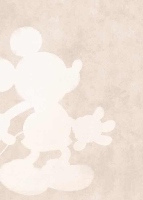 Standard Non-woven Mickey Contour