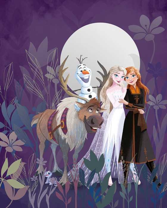 Standard Non-woven Frozen Full Moon Hike