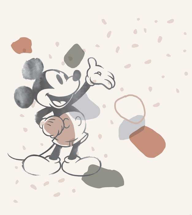 Standard Non-woven Mickey Organic Shapes