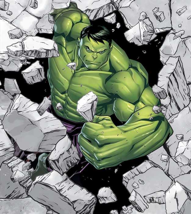 Standard Non-woven Hulk Breaker