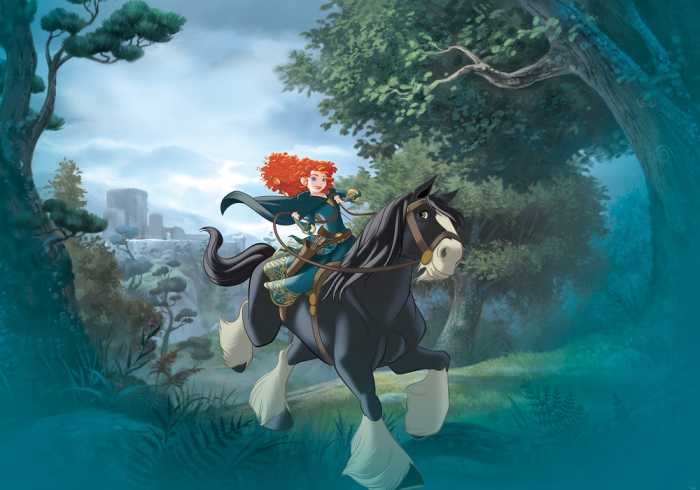 Standard Non-woven Merida Riding