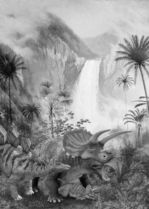 Standard Non-woven Jurassic Waterfall