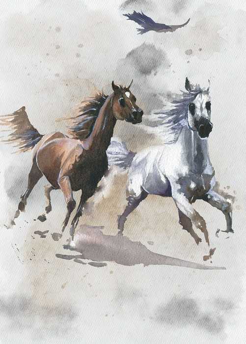 Standard Non-woven Wild Ride