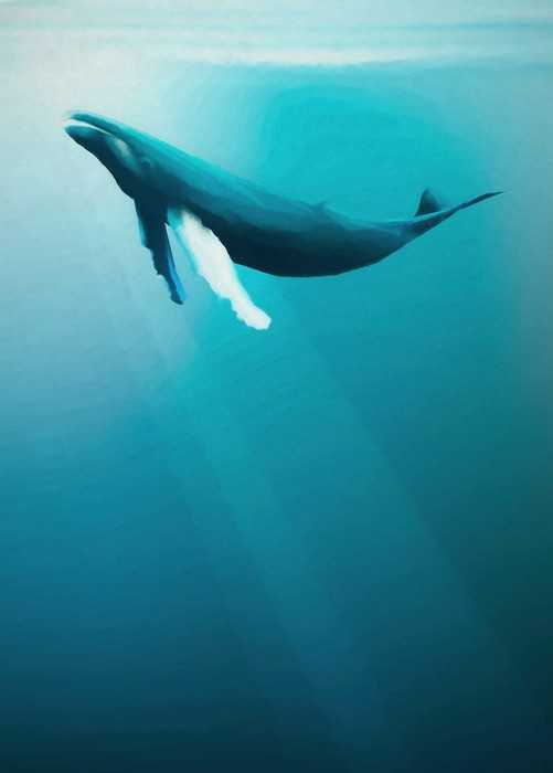 Standard Non-woven Artsy Humpback Whale