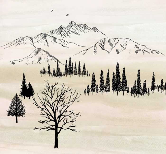 Standard Non-woven Backcountry