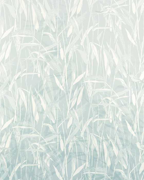Premium Non-Woven Whisper World