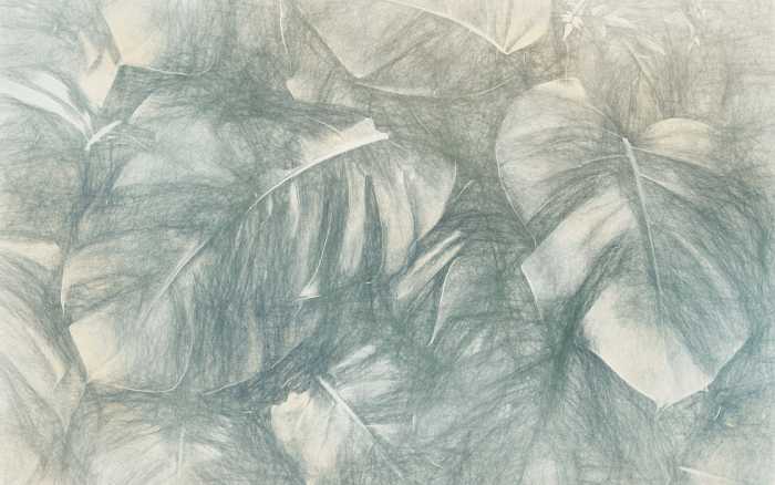 Premium Non-Woven Beyond Botanic