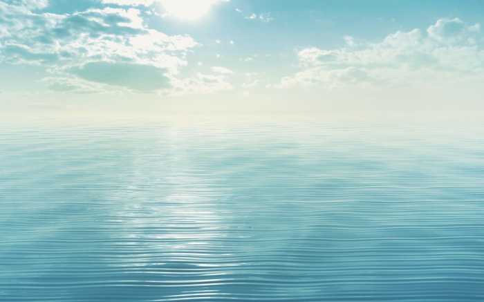 Premium Non-Woven La Mer Bleue