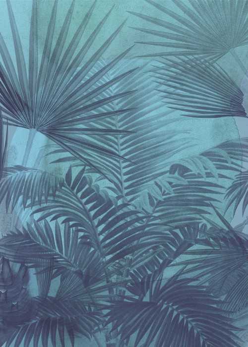 Standard Non-woven Transparency