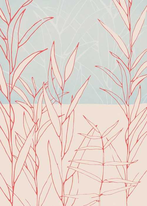 Standard Non-woven Plain
