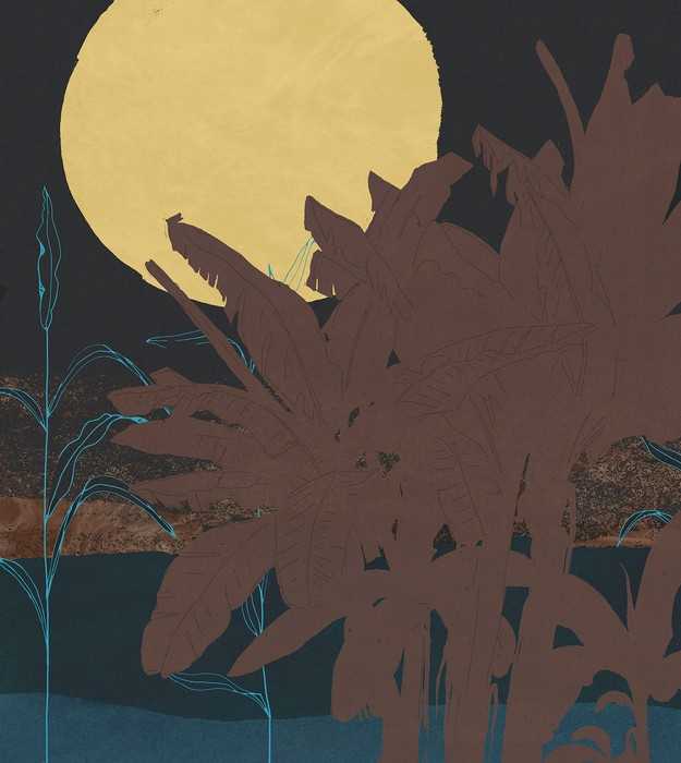 Standard Non-woven Supermoon