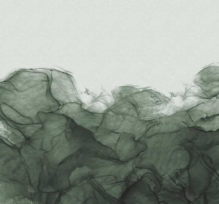 Standard Non-woven Green Dust